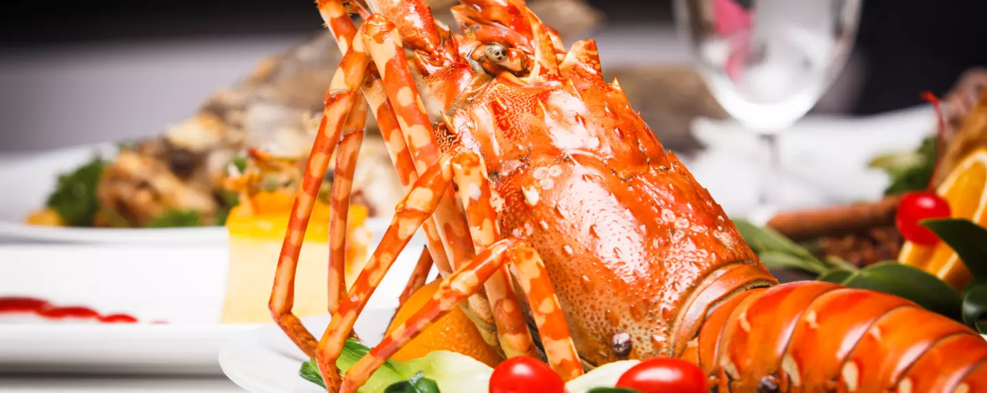 Thế giới hải sản Hàm Ninh